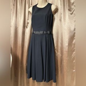 Banana Republic Navy Tea Length Dress